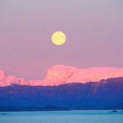 乐虎国际手机app下载